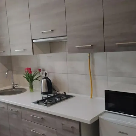 شقة поруч з палацом потоцьких *